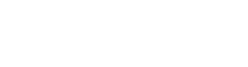 Life Festa